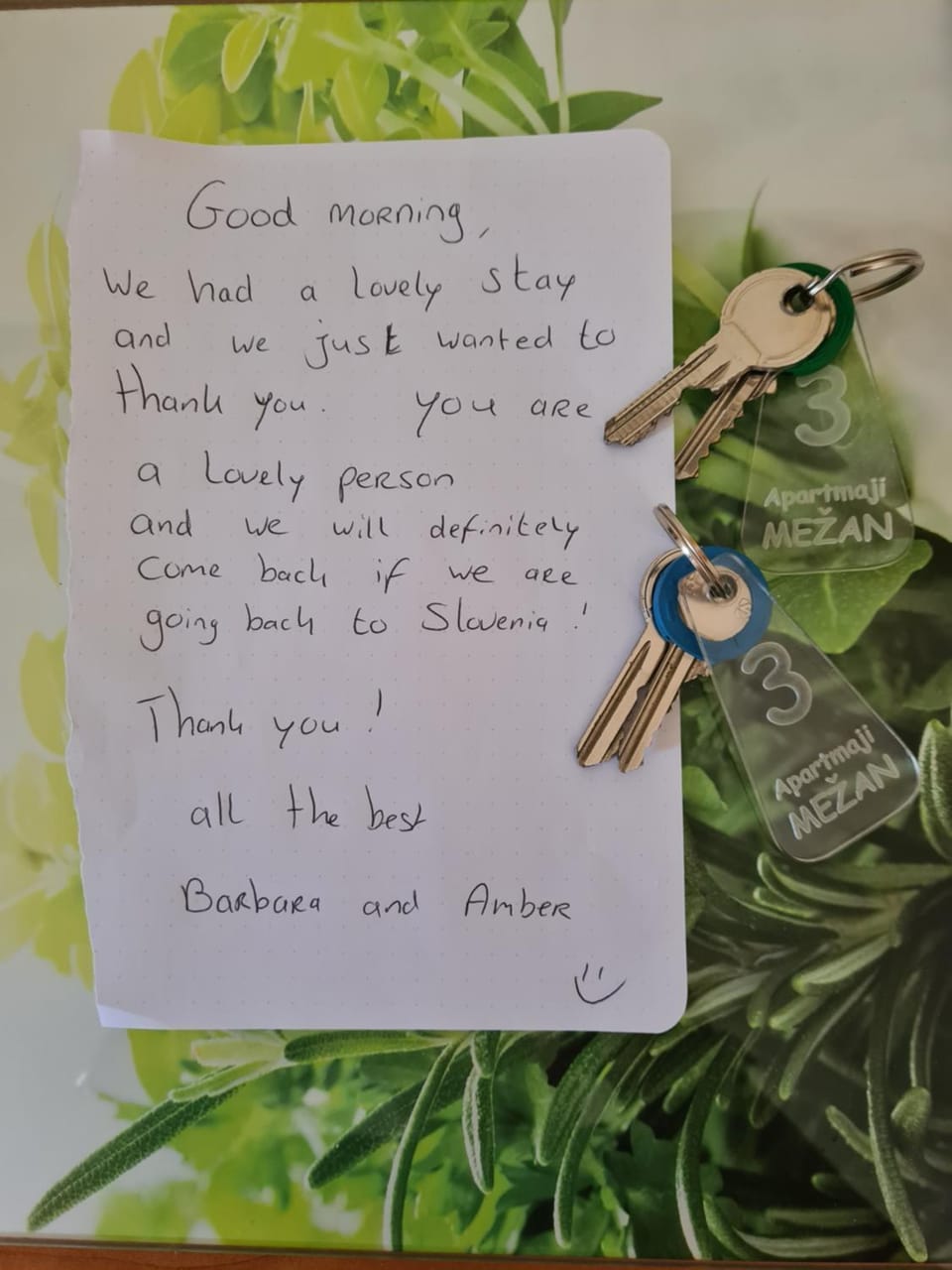 Apartmaji Mežan Apartment in Bled