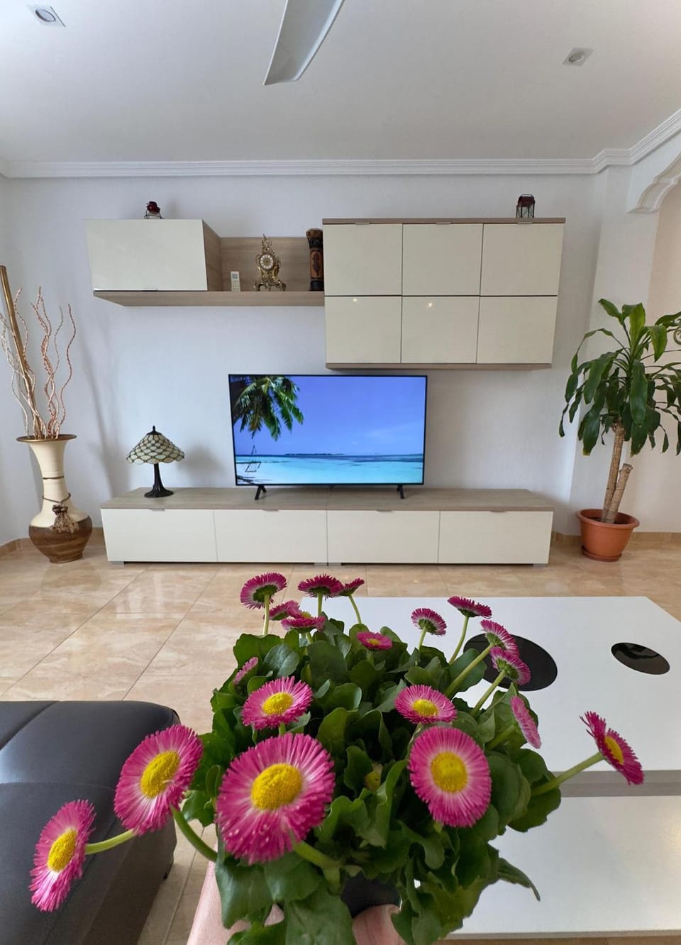 TV and multimedia