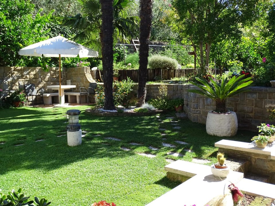 Garden view