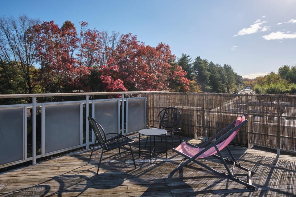 Patio, View (from property/room), Balcony/Terrace, sunbed