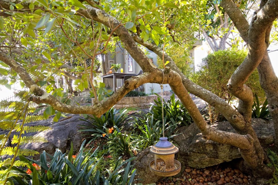 Facade/entrance, Garden