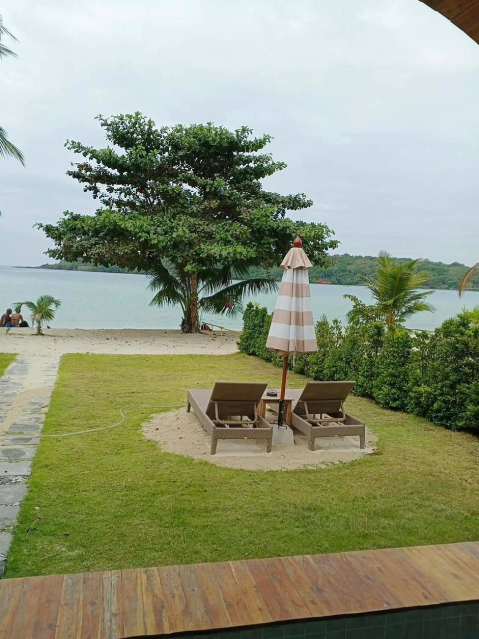 Garden, Sea view, sunbed