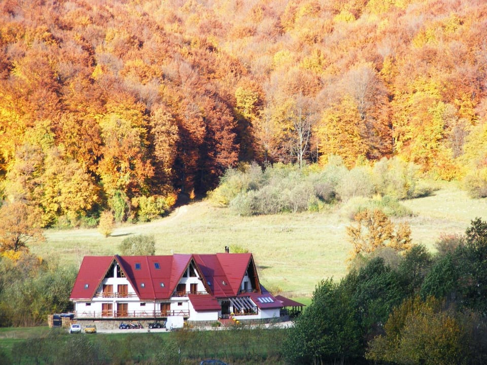 Property building, Natural landscape