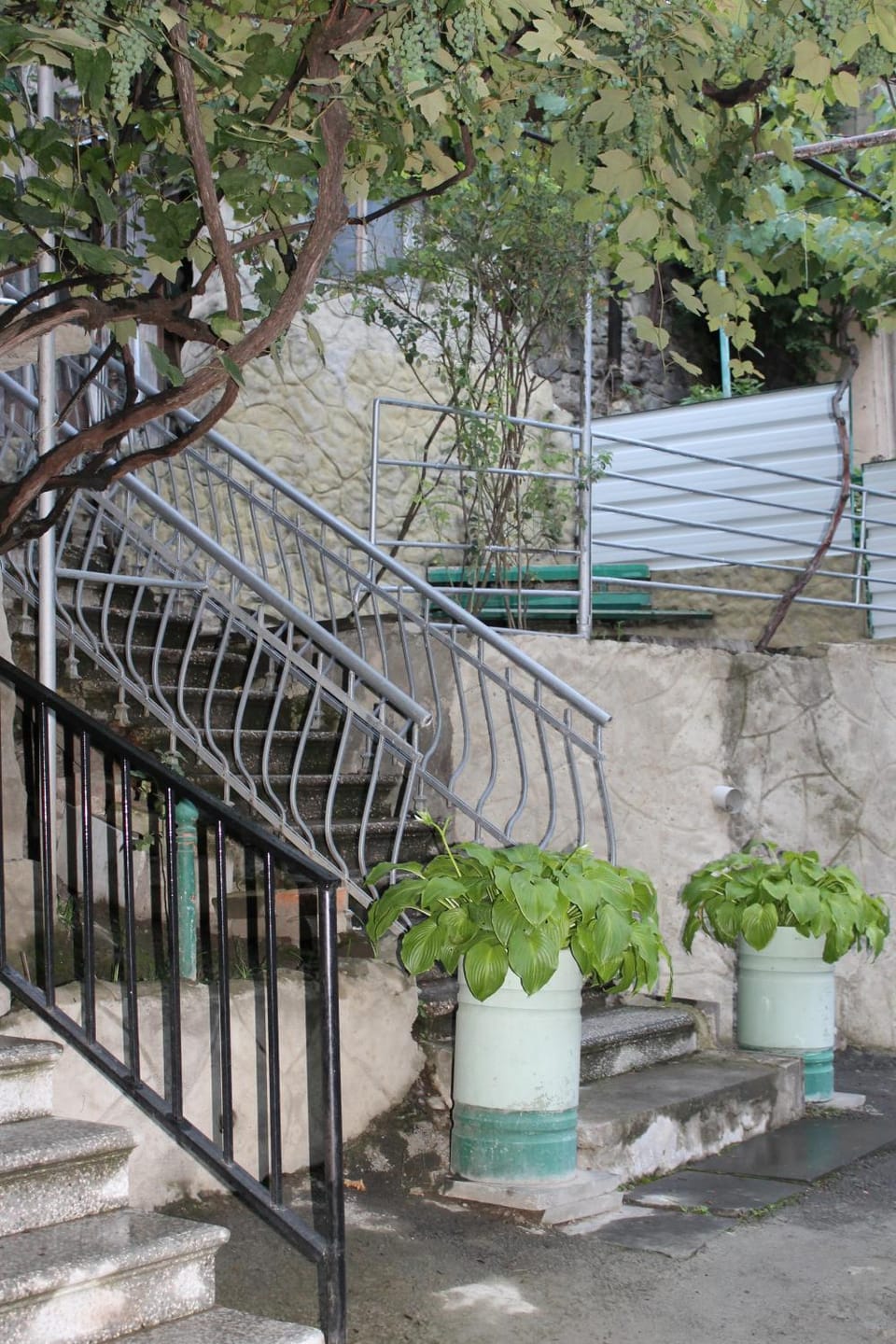 Activities, Garden