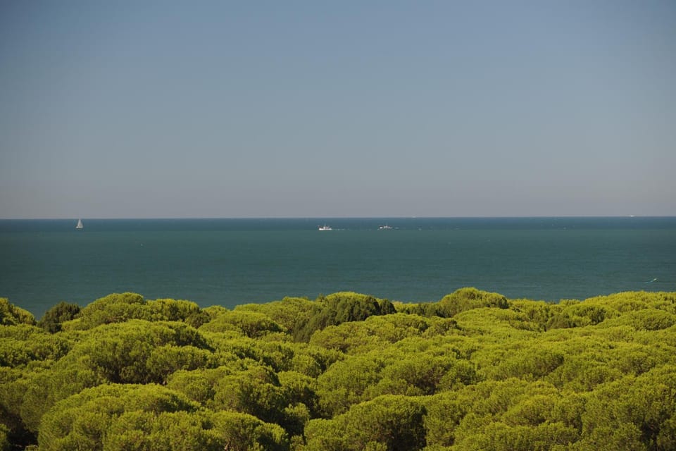 Natural landscape, Garden, Balcony/Terrace, Beach, Hiking, Sea view