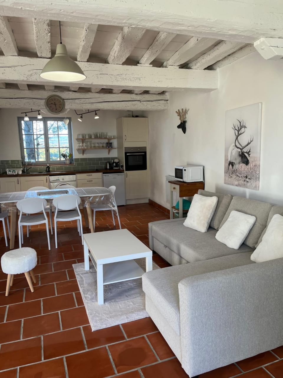 Kitchen or kitchenette, Living room, Seating area, Dining area, minibar, pet friendly, stove