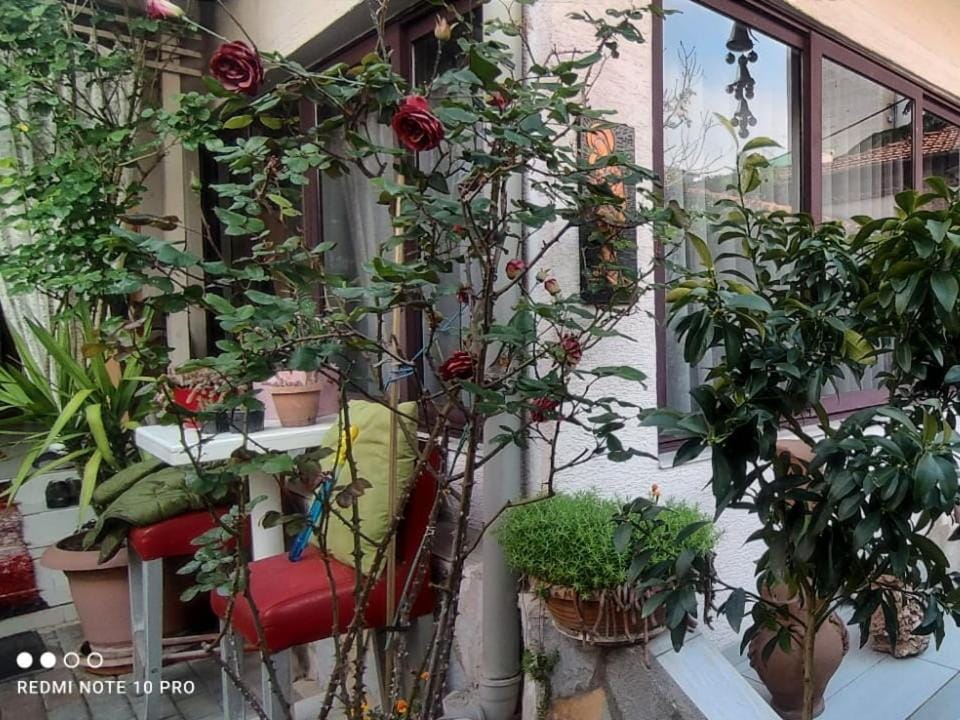 Guesthouse Hygge Bed and Breakfast in Tirana