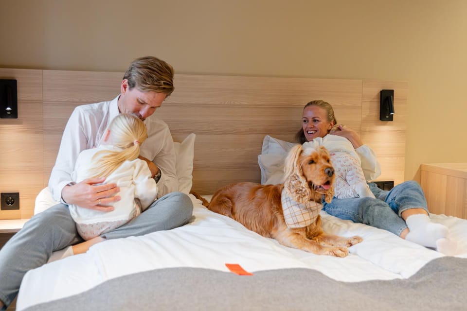 Bed, Pets, Guests, Family