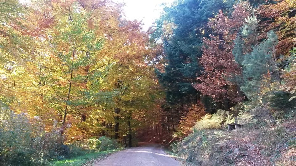 Natural landscape, Autumn