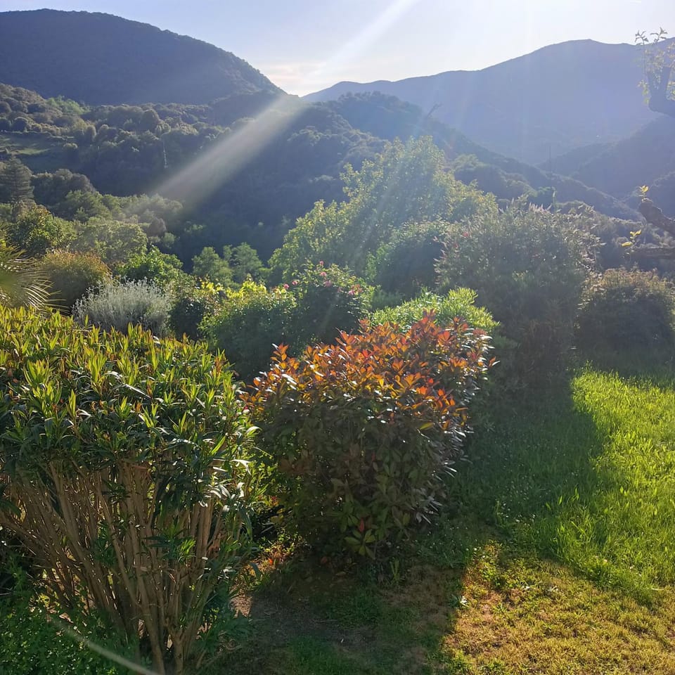 Mountain view