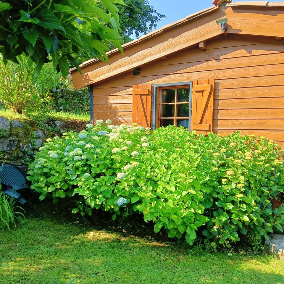 les chalets montagne du haut taravo Chalet in Corsica