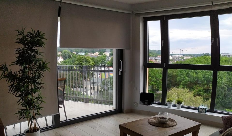Balcony/Terrace, Living room, Garden view