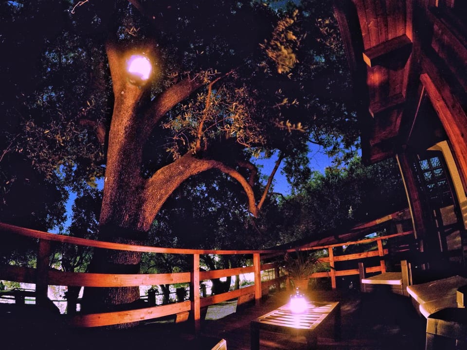 Garden, Balcony/Terrace