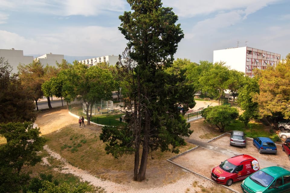 Neighbourhood, City view, Street view