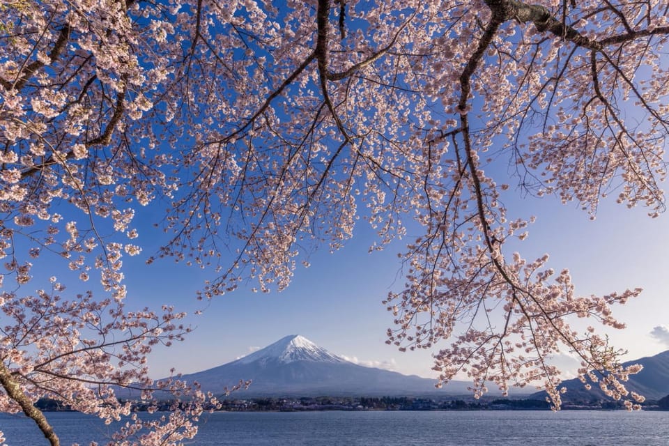 Nearby landmark, Spring, Natural landscape