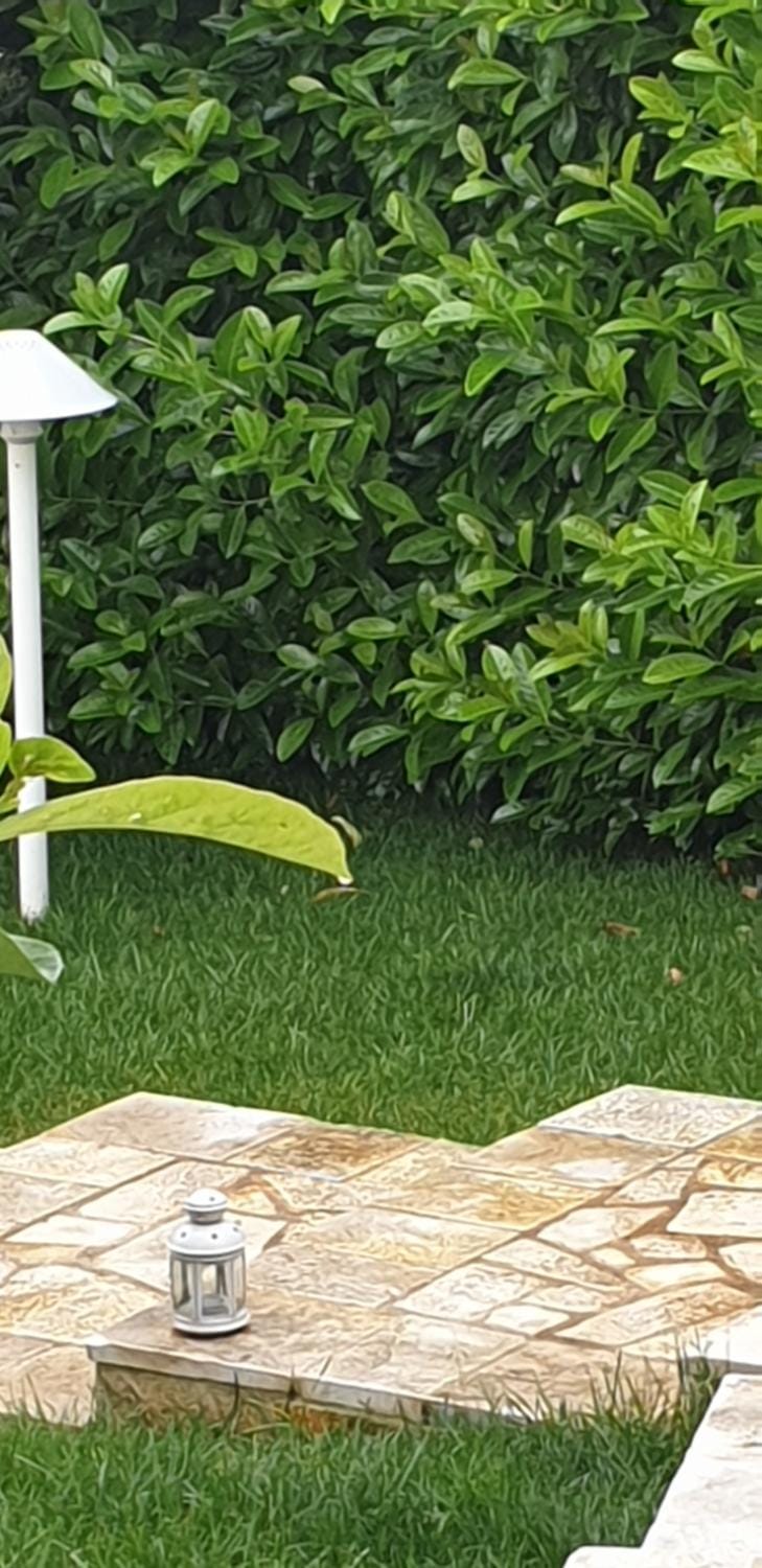 Garden, Garden view