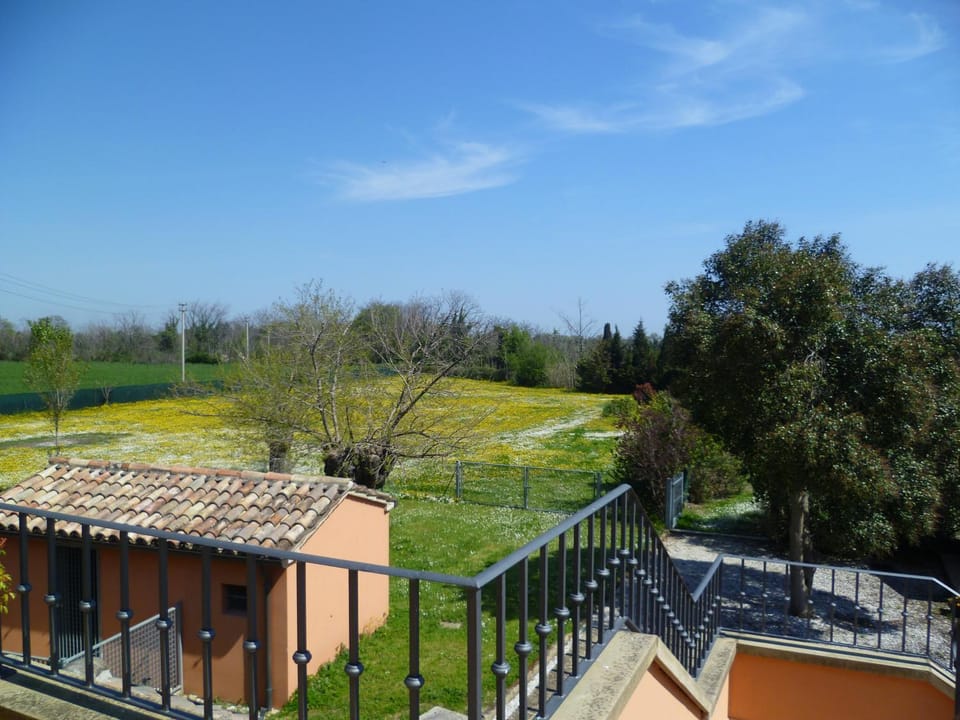 Balcony/Terrace, Garden view