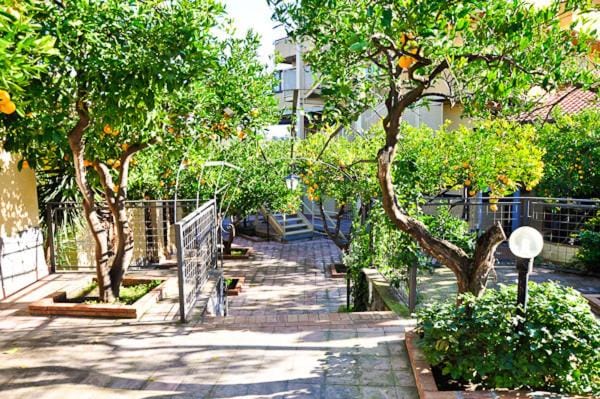 Garden, Garden