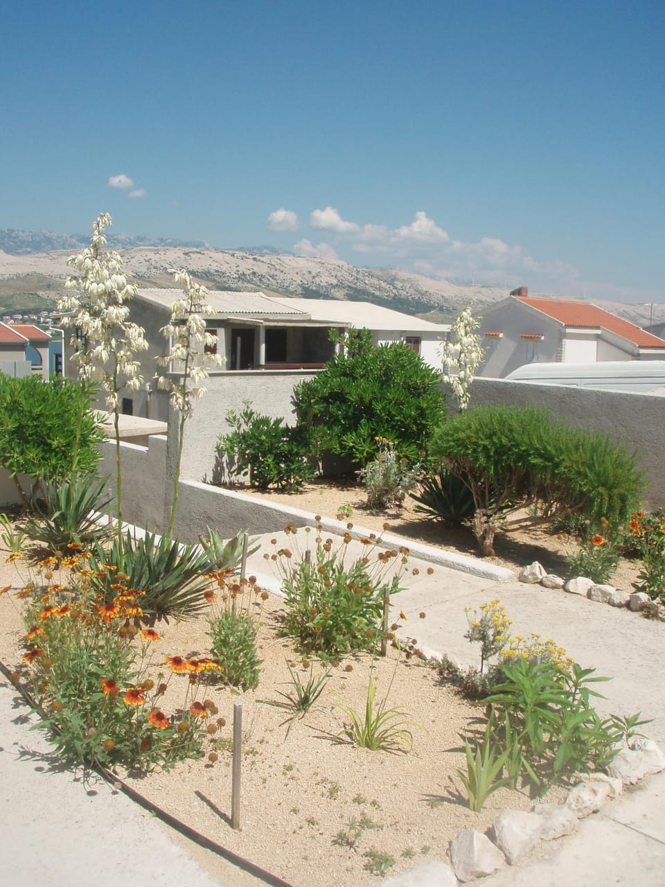 Garden view