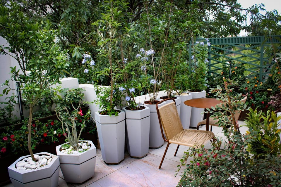 Spring, Day, Garden, Balcony/Terrace, Garden view