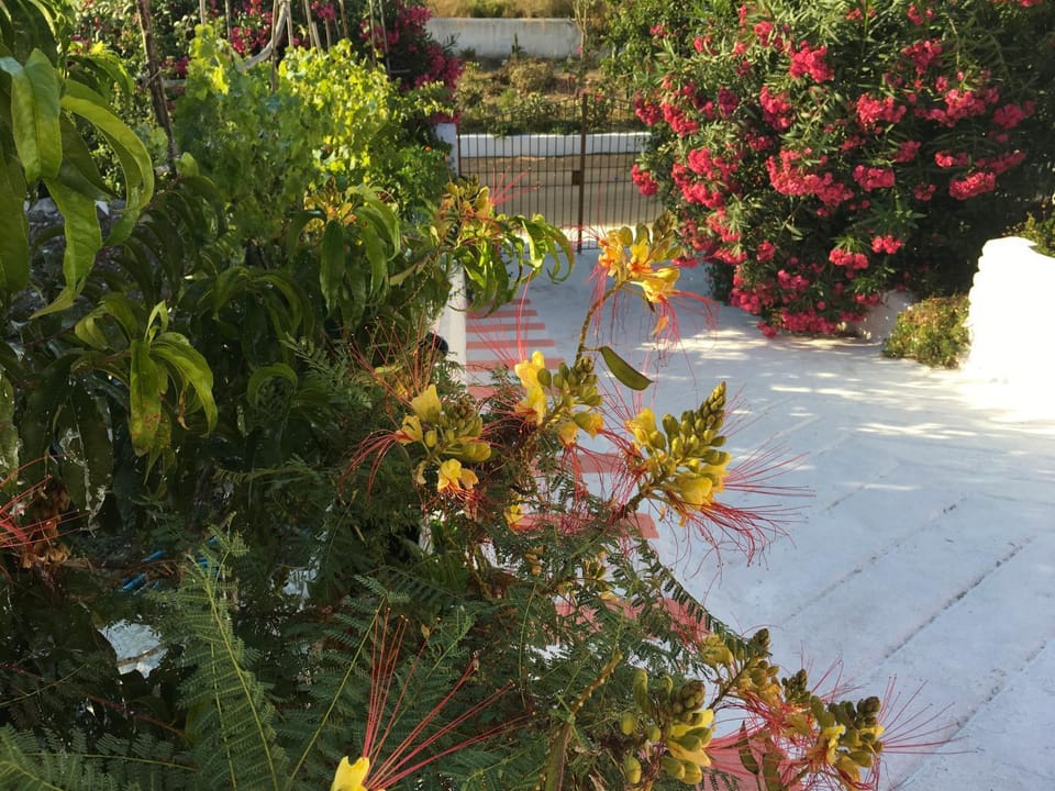 Garden view, Street view