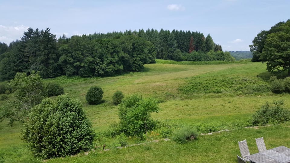 Garden view