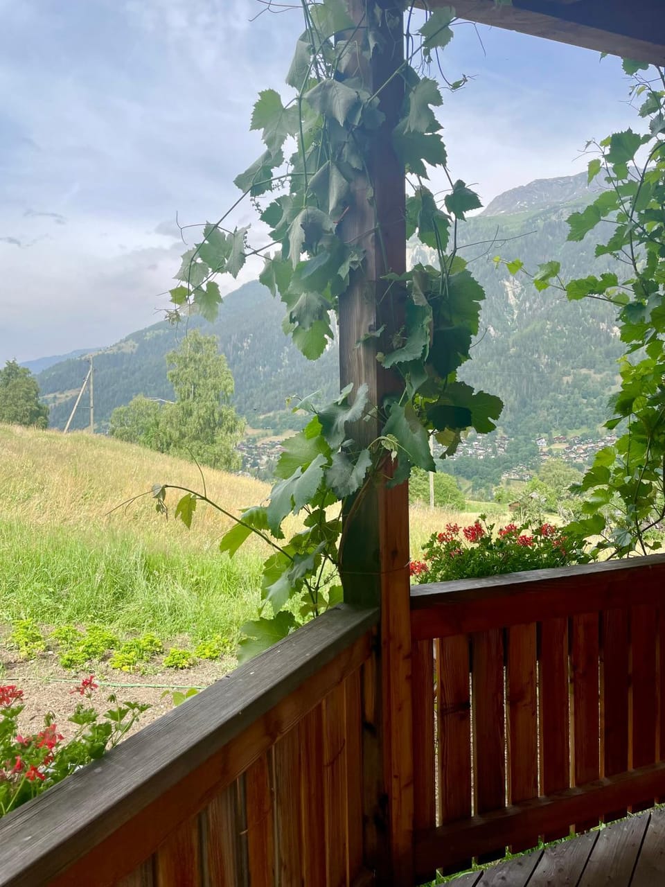 Natural landscape, Garden view, Mountain view