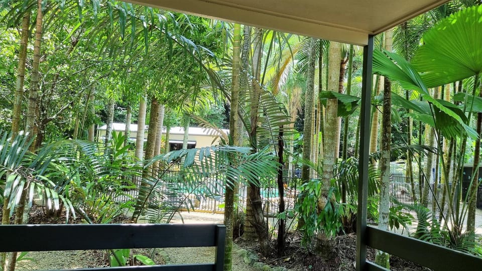 Garden, Balcony/Terrace, Garden view