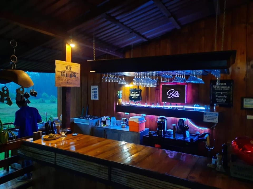 Lounge or bar, Food and drinks