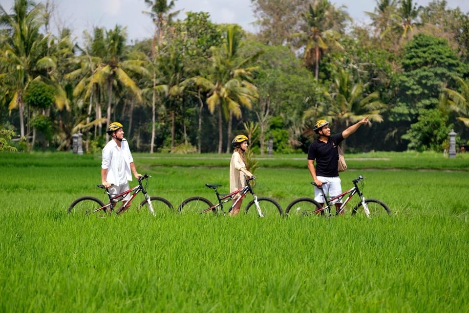 Activities, Cycling