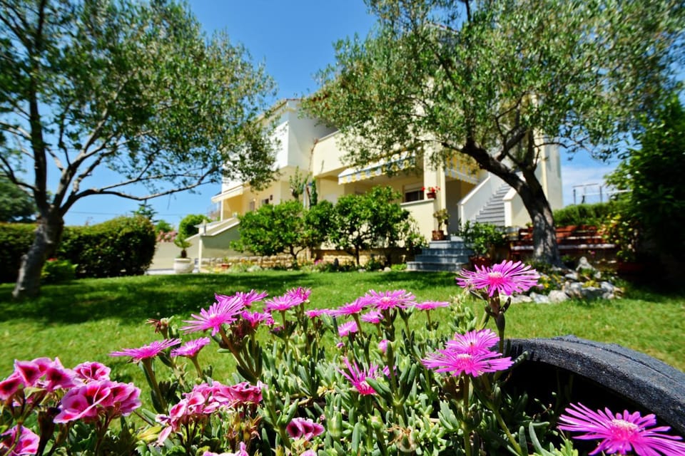 Garden, Balcony/Terrace