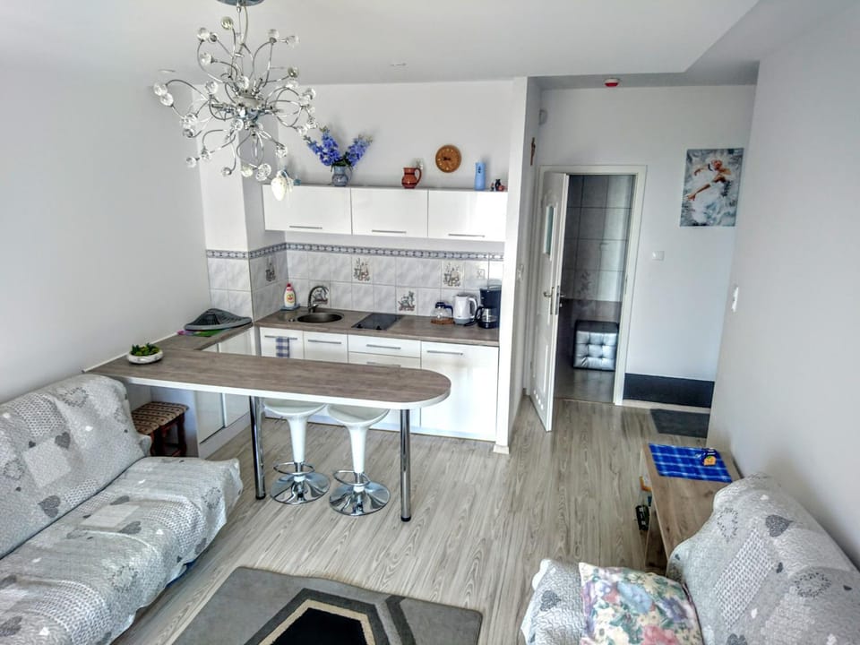 Kitchen or kitchenette, Living room