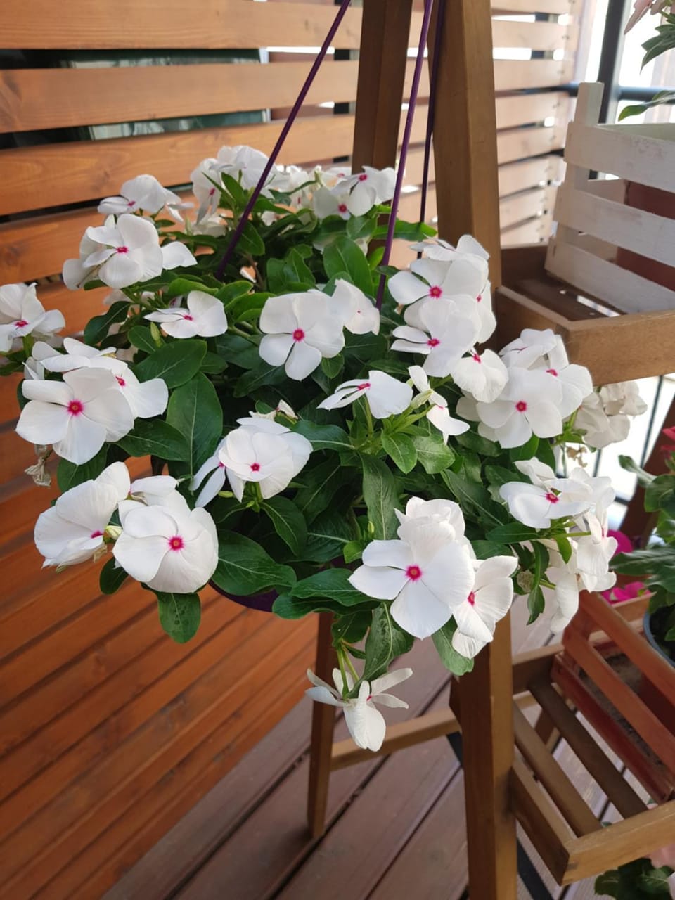 La Terrazza di Carolina Bed and Breakfast in Agrigento