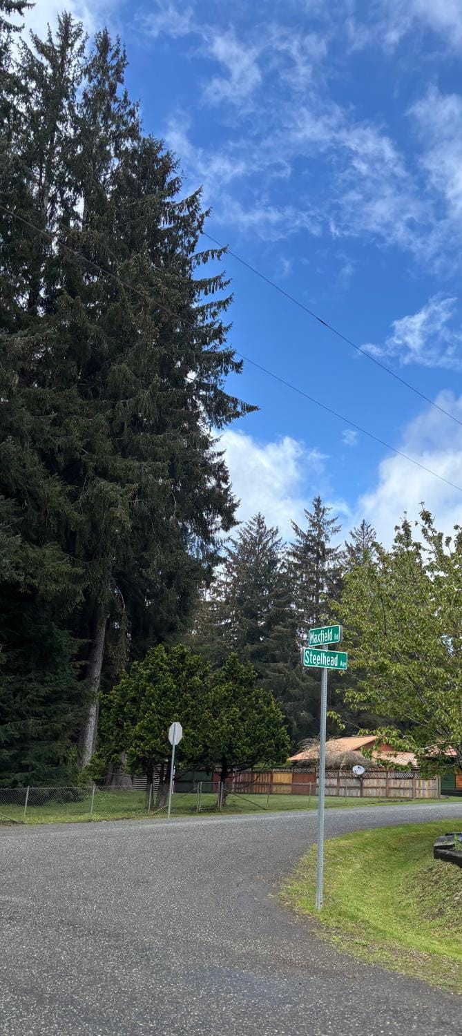 Neighbourhood, Street view