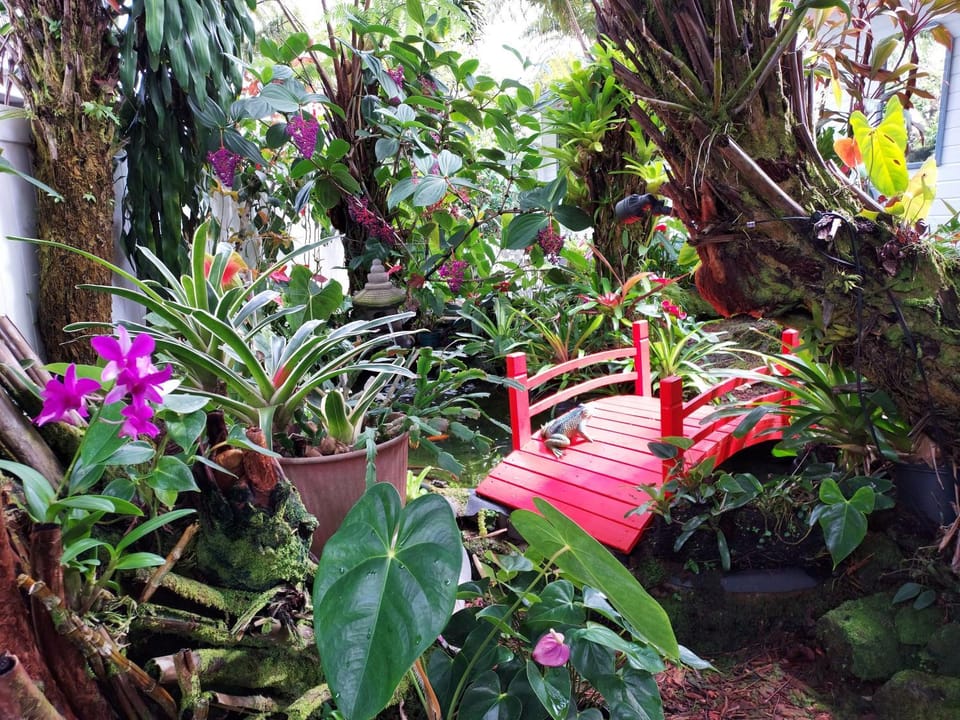 Paradise Cottage at Anthurium Hale Vacation rental in Hilo
