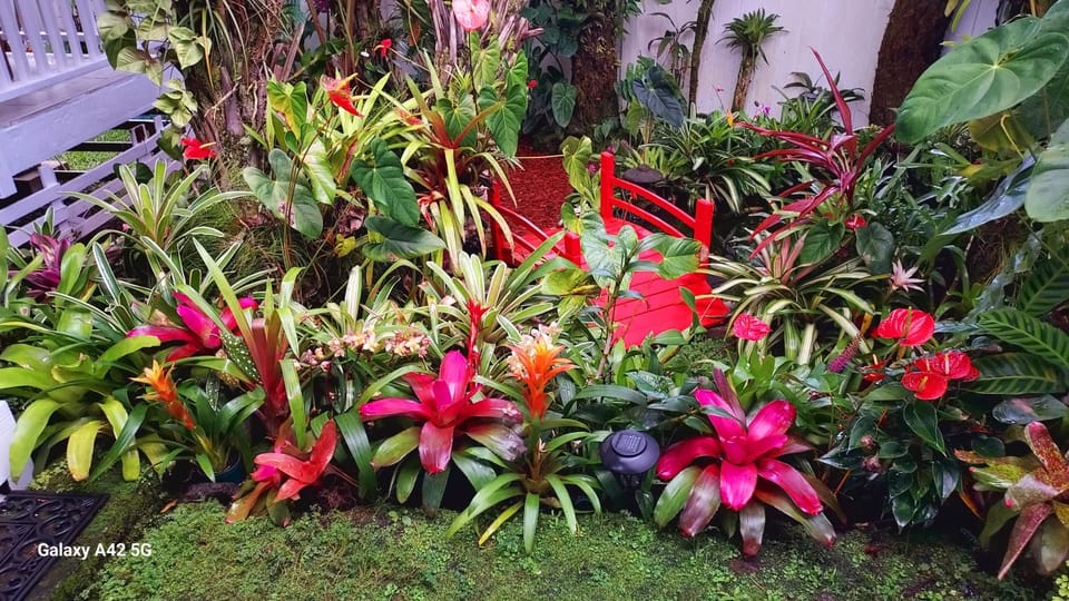 Paradise Cottage at Anthurium Hale Vacation rental in Hilo