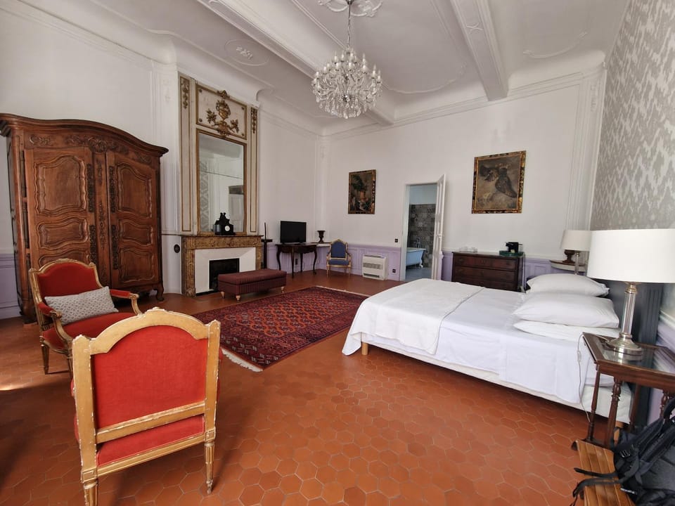 Palais de Luppé, Chambre d'hôtes Bed and Breakfast in Arles
