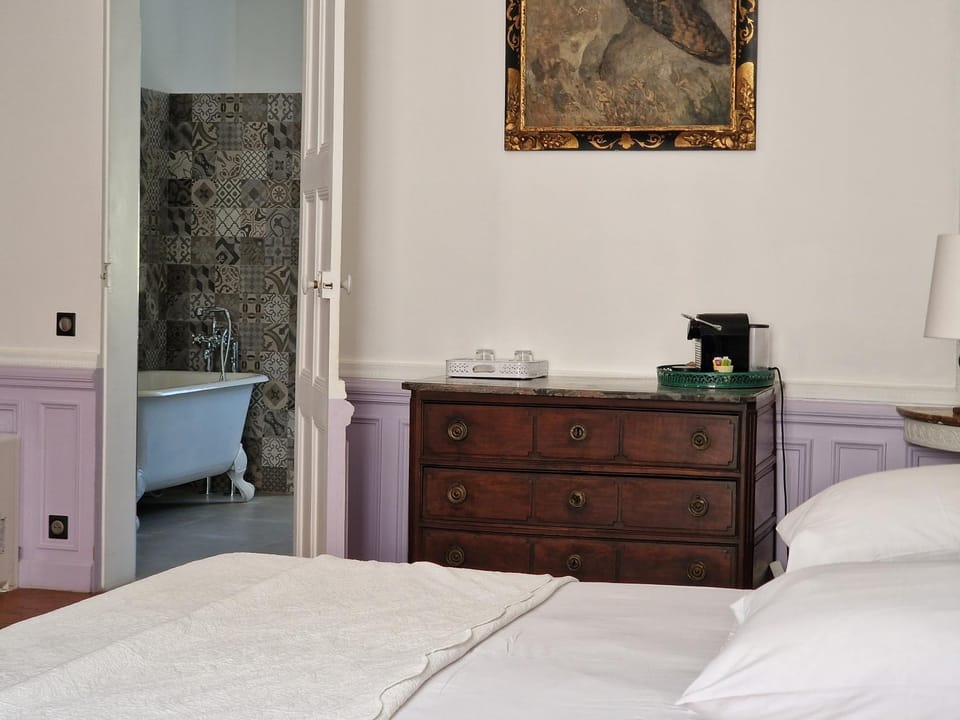 Palais de Luppé, Chambre d'hôtes Bed and Breakfast in Arles