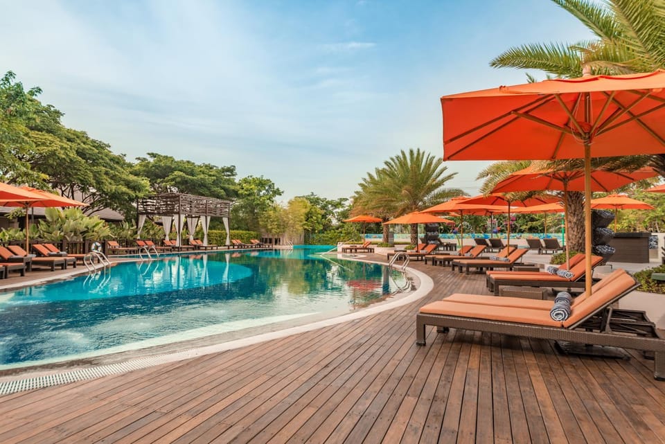 Swimming pool, Swimming pool