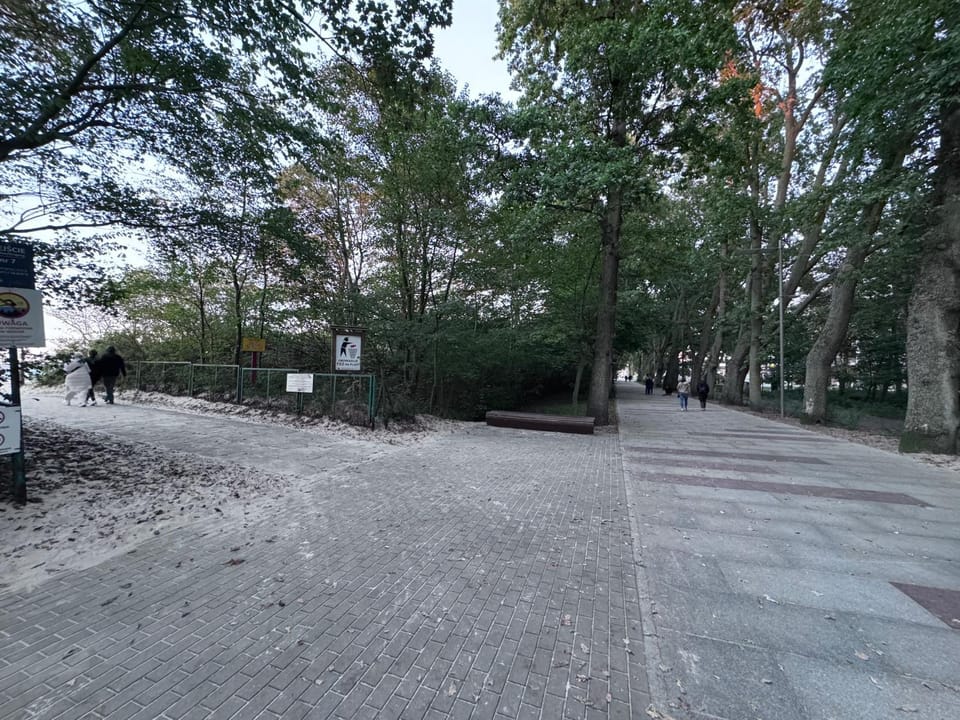 Neighbourhood, Natural landscape, Street view