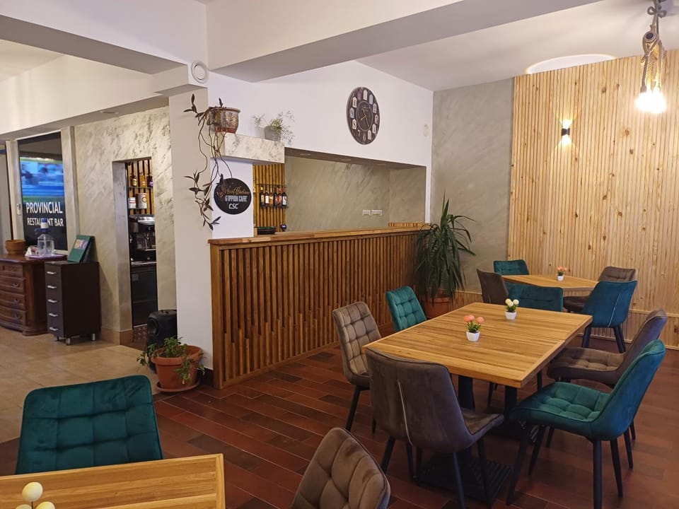 Provincial Bed and Breakfast in Romania