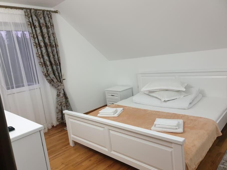 Pensiunea Putnisoara Villa in Romania