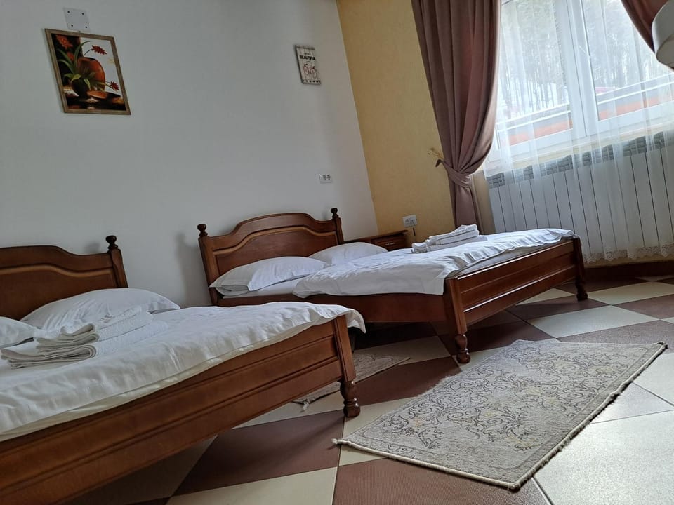 Pensiunea Putnisoara Villa in Romania