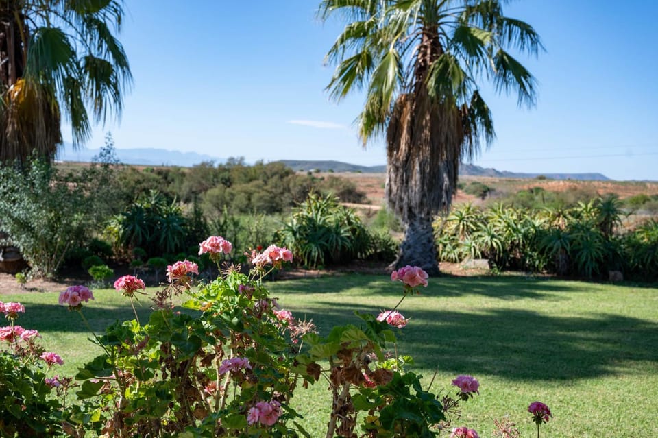 Garden, Garden view