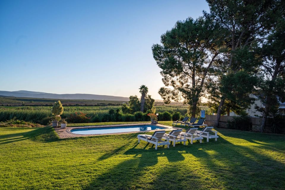 Natural landscape, Swimming pool, sunbed