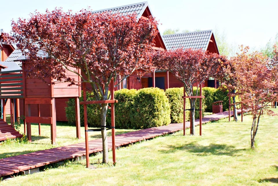Property building, Garden, Garden view