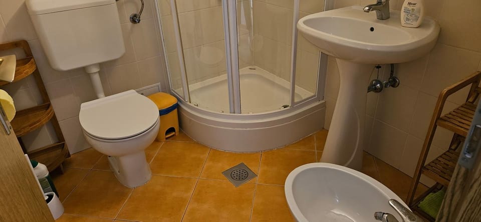 Shower, Toilet, Day, Bathroom, bidet