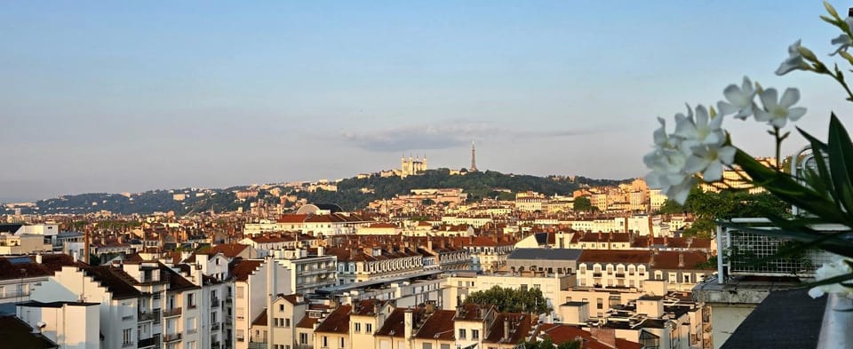PLEIN SUD Terrasse Garage Netflix Climatisation Apartment in Lyon