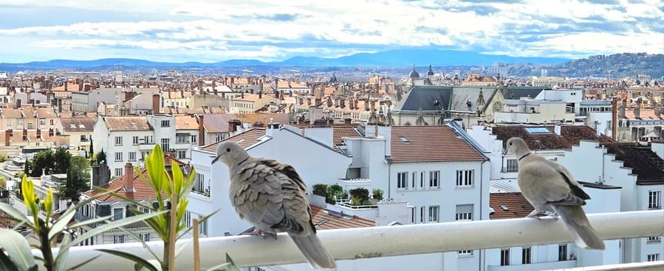 PLEIN SUD Terrasse Garage Netflix Climatisation Apartment in Lyon
