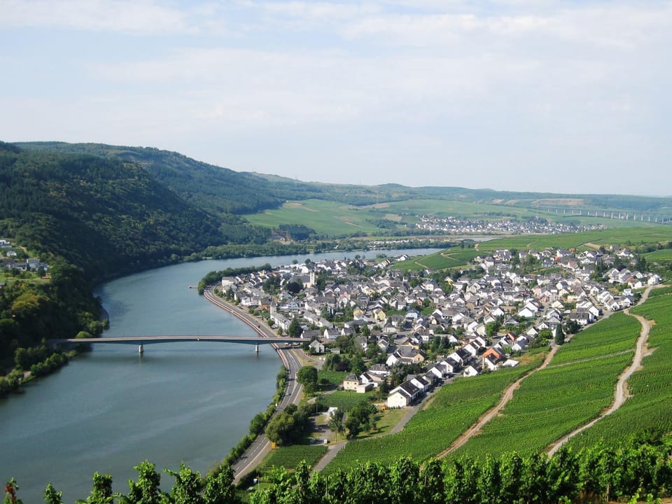 Natural landscape, River view